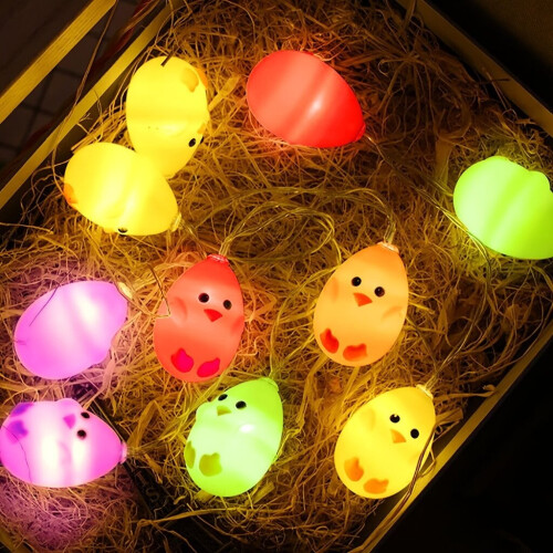 guirlande de poulet LED 1