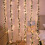 LED-ruususeppele 3