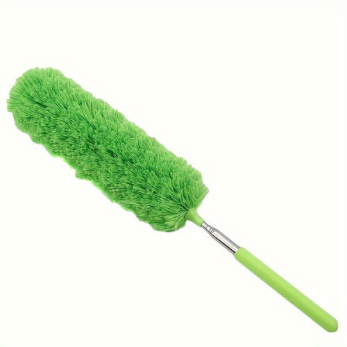 Balai à poussière, vert