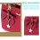 Damenhandtasche Danbaoly rot 4