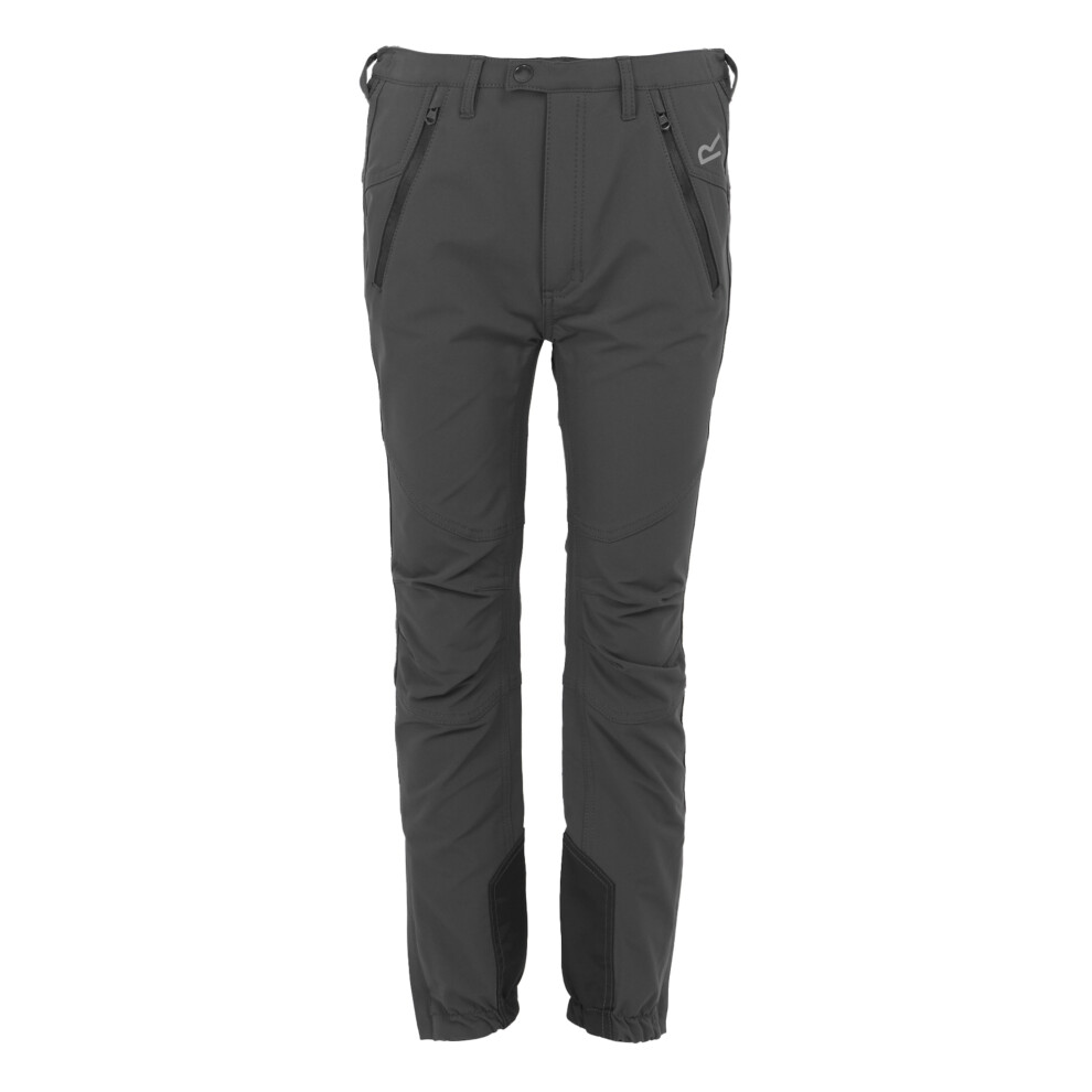 Regatta (3-4 Years, Seal Grey) Childrens/Kids Tech Mountain Hiking Trousers