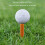 3 Piece  Tees Coffee Durable Tee Driving Range 60/ 70/ 80 mm 4