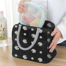 Bolsa isotérmica para el almuerzo, bolsas térmicas portátiles para el almuerzo refrigeradas