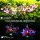 Set van 2 waterdichte decoratieve solar tuinlampen 2