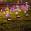 Set van 2 waterdichte decoratieve solar tuinlampen 3