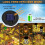 Solar Lights Replacement Top 4 Pack Outdoor Replacement Solar Light Parts, LED Solar Lantern Light Lids 6