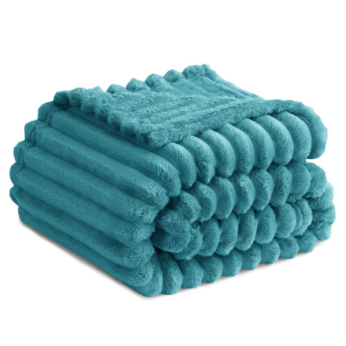 RUIKASI Fleece Throw Blanket for Sofa  Single Fluffy Teal Throws for Sofas