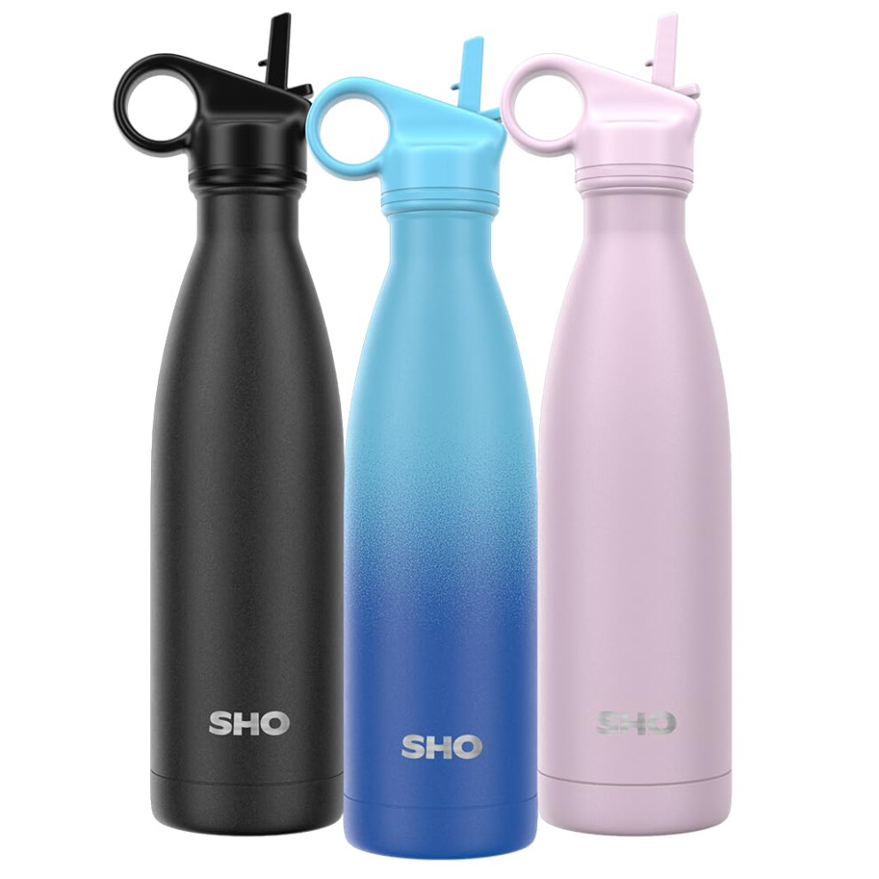 Sho Stainless Steel Water Bottle With Straw And Screw Lid Leakproof Bpa Fr 5007490493669