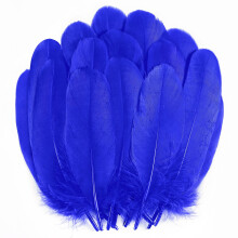 Holmgren Royal Blue Goose Feathers 200pcs 57inch Natural Goose Feather Bul
