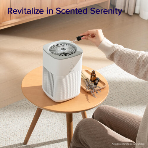 Levoit Levoit HEPA Air Purifier for Bedroom Home, Quiet Sleep Mode 2