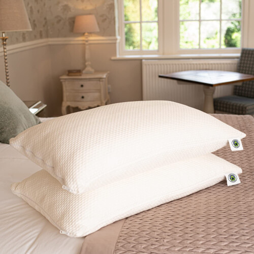 Martian Made Bamboo Pillow Protectors - Waterproof TPU - Zipped 1