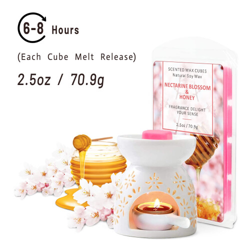 Scented Wax Melts - 8 x 2.5 oz Wax Cubes 1