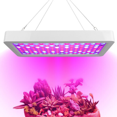 Φως ανάπτυξης LED 100-277V για θερμοκήπια, παχύφυτα και φυτά εσωτερικού χώρου
