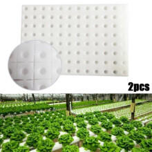 Spugna per germinazione idroponica, 30x20x2,5 cm