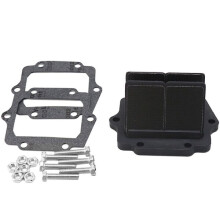 Modifications V-Force Force Reeds Automotive " SISTEM CAGE