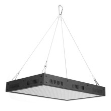 1200W LED-Pflanzenlampe mit Vollspektrum, Hochleistungs-LED-Pflanzenlampe