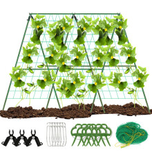 Support pour plantes d'intérieur pour la culture de légumes, hauteur réglable et