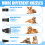 Ultra low noise running keeps anxious pets calm during bath grooming 3