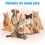 Ultra low noise running keeps anxious pets calm during bath grooming 9