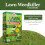 Doff Doff Lawn Weedkiller Concentrate Strong Root Weed Control 200ml 3