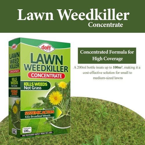 Doff Doff Lawn Weedkiller Concentrate Strong Root Weed Control 200ml 2