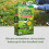 Doff Doff Lawn Weedkiller Concentrate Strong Root Weed Control 200ml 6