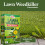 Doff Doff Lawn Weedkiller Concentrate Strong Root Weed Control 200ml 11