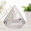 Plastic Cosmetic Bottle Empty Cream Bottles for Storage Use 15Pcs 3