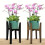 1 support à fleurs réglable, support pour pot de fleurs, jardinière d'extérieur 1