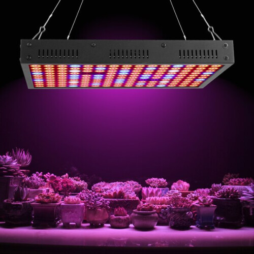 Φως ανάπτυξης φυτών LED 1200W πλήρους φάσματος, φως ανάπτυξης φυτών LED υψηλής ισχύος 1