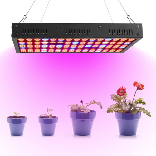 Φως ανάπτυξης φυτών LED 1200W πλήρους φάσματος, φως ανάπτυξης φυτών LED υψηλής ισχύος 2