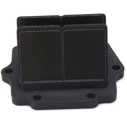 Modifications V-Force Force Reeds Automotive " SISTEM CAGE 1