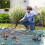 1 Pcs. Sheet Net Pool Cover, Protective Net Cover 4