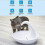 Fontana automatica per cani e gatti Swan Pet 5