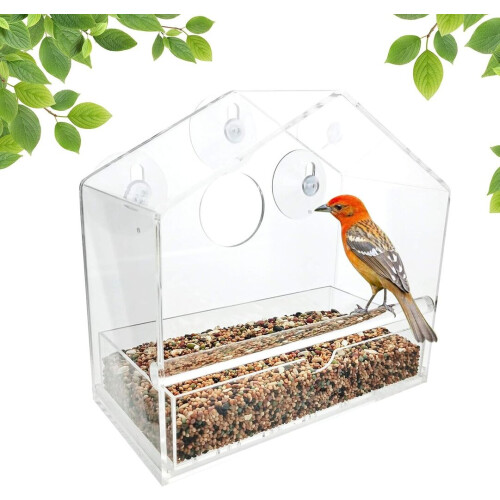 Ταΐστρα πουλιών Xingfeng Clear Acrylic Window με βεντούζες, μεγάλη 2