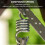 Hetang Yuese Units Hammock spring, 7mm hammock chair spring, s 4
