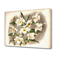 Orchideen-Leinwandposter, Schlafzimmerdekoration, 30 x 45 cm