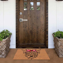 Shaggy Doormat Welcome Mat with Funny Characters 18x30 Inch