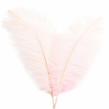 Plumes colorées pour loisirs créatifs, 30 cm (12 pouces) en vrac