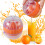 Presse-agrumes manuel pour oranges et citrons, 1 pièce 1