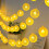 LED Lemon String Lights for School Home Decor 1.5m 10-Light 4