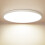 LED loftlampe rund flad 12 tommer 1
