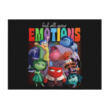 Lehká celoroční deka Inside Out2Flannel