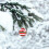 Boules de Noël en verre (16 pièces) 3