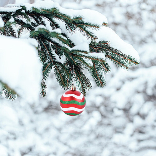Boules de Noël en verre (16 pièces) 2