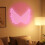 LED neon netlys rød 1m x 1m 4