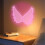 LED neon netlys rød 1m x 1m 5
