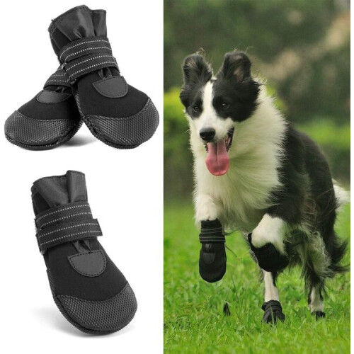 Qianli - 2 pares de botas de segurança para cães com solado macio e antiderrapante. 2