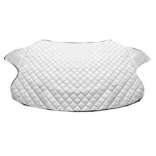 Windshield Snow shield Sun visor Sun visor