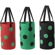 Sac de culture pour fraisiers de 3 gallons avec 12 trous de plantation